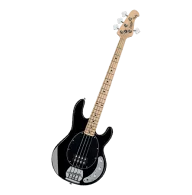 Bass Guitar