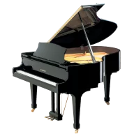 Piano / Keyboard