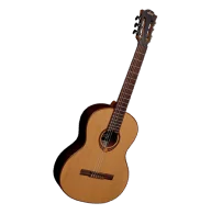 acoustic Guitar